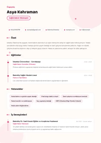 Tekniker ve Teknisyen Cv Örnekleri cv indir